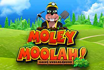Moley Moolah Going Und